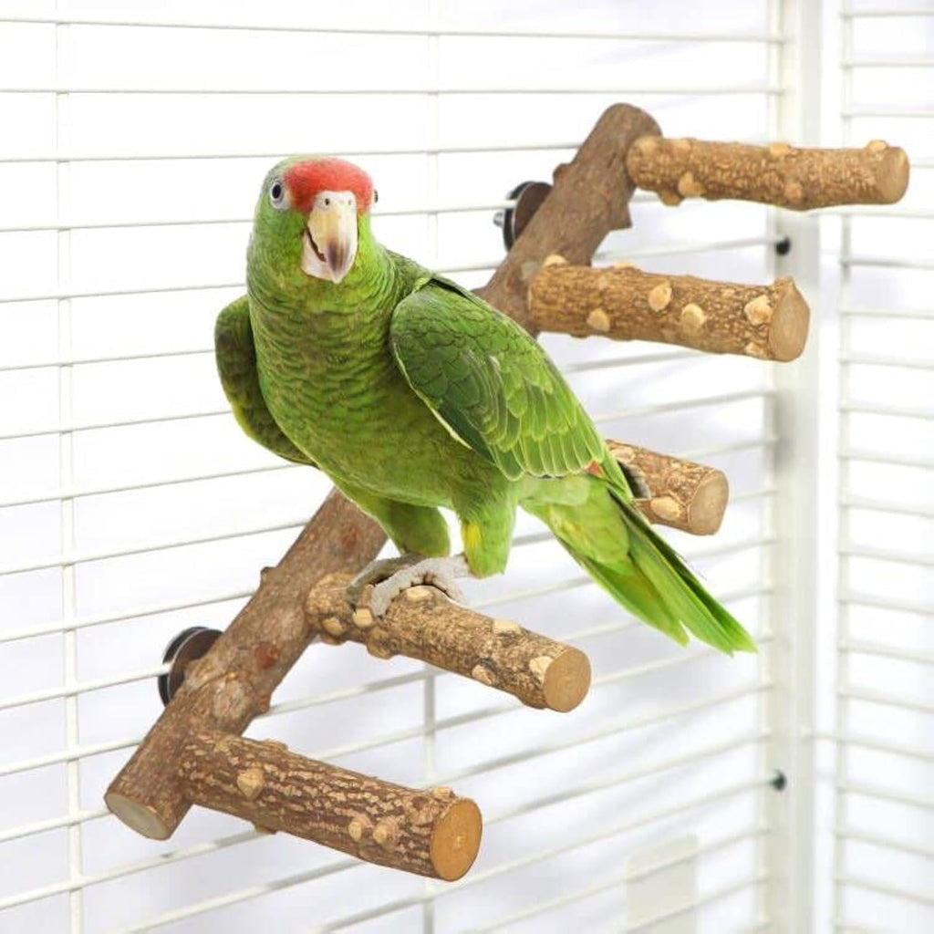 Deluxe Nature Wood Bird Ladder Perch - Perfect Parrot Chew Toy for Small to Medium Birds!