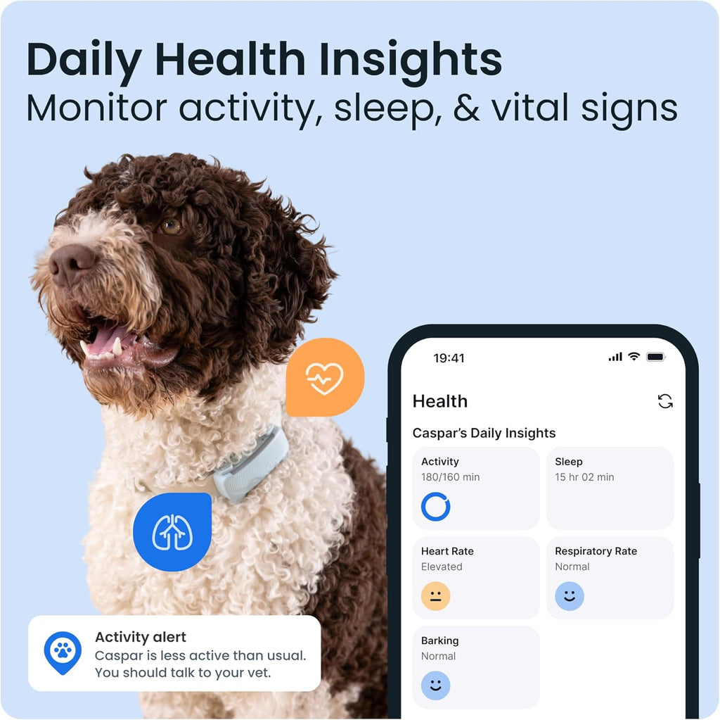 Transform Your Dog's Safety with the Advanced Smart Dog Tracker - 2025 Edition in Mint, Featuring Real-Time GPS, Health Monitoring, and Activity Alerts!