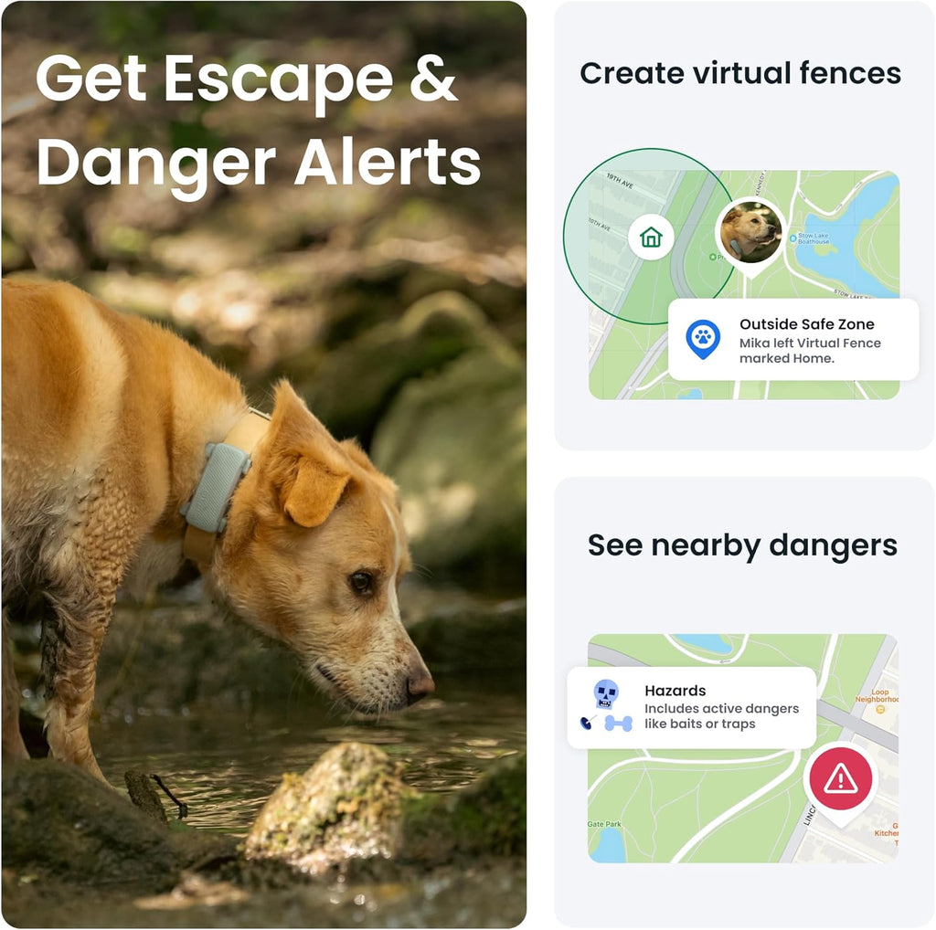 Transform Your Dog's Safety with the Advanced Smart Dog Tracker - 2025 Edition in Mint, Featuring Real-Time GPS, Health Monitoring, and Activity Alerts!