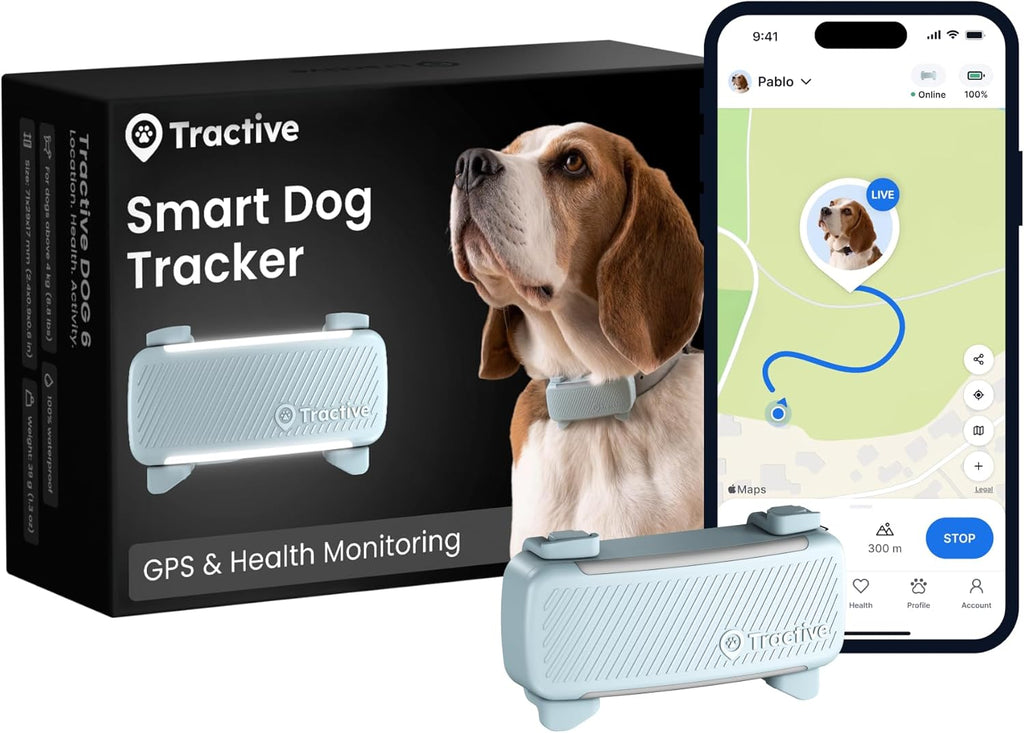 Transform Your Dog's Safety with the Advanced Smart Dog Tracker - 2025 Edition in Mint, Featuring Real-Time GPS, Health Monitoring, and Activity Alerts!