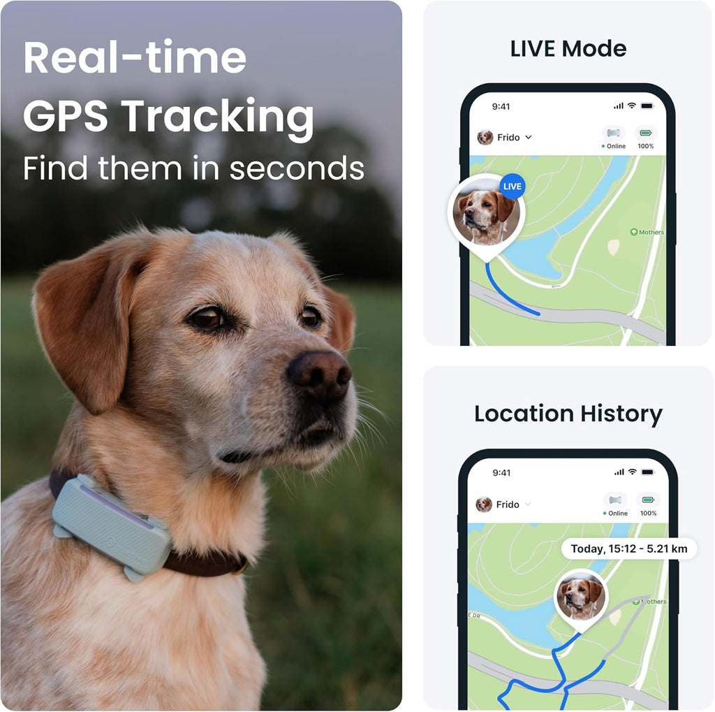 Transform Your Dog's Safety with the Advanced Smart Dog Tracker - 2025 Edition in Mint, Featuring Real-Time GPS, Health Monitoring, and Activity Alerts!